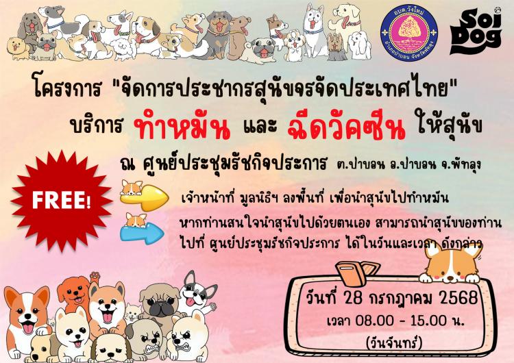 ��Ъ�����ѹ�� ����ѹ�عѢ ��ŹԸ� Soi Dog